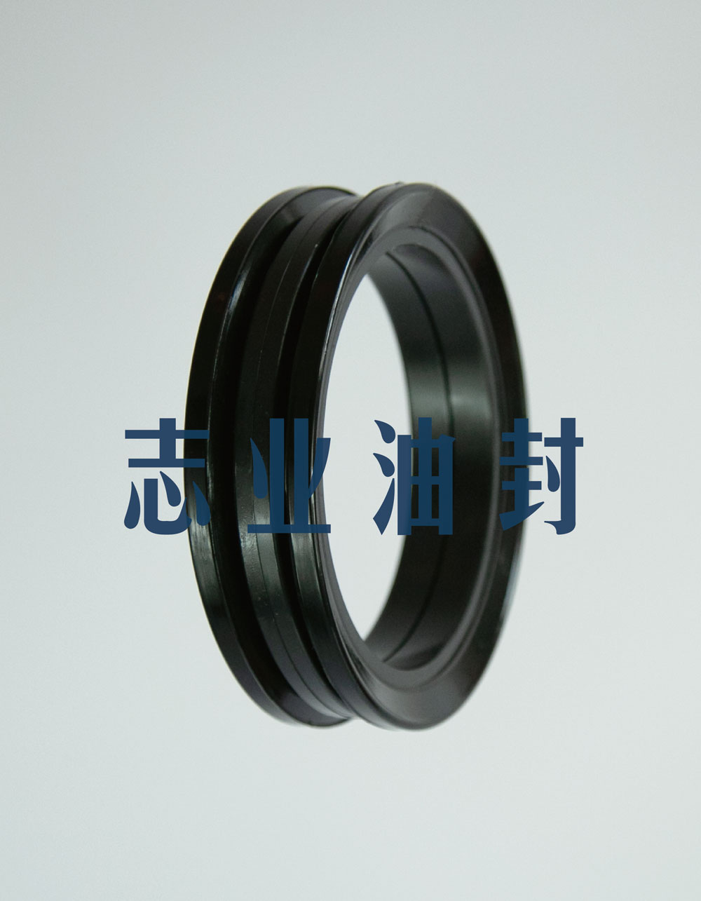 DF型浮動(dòng)油封