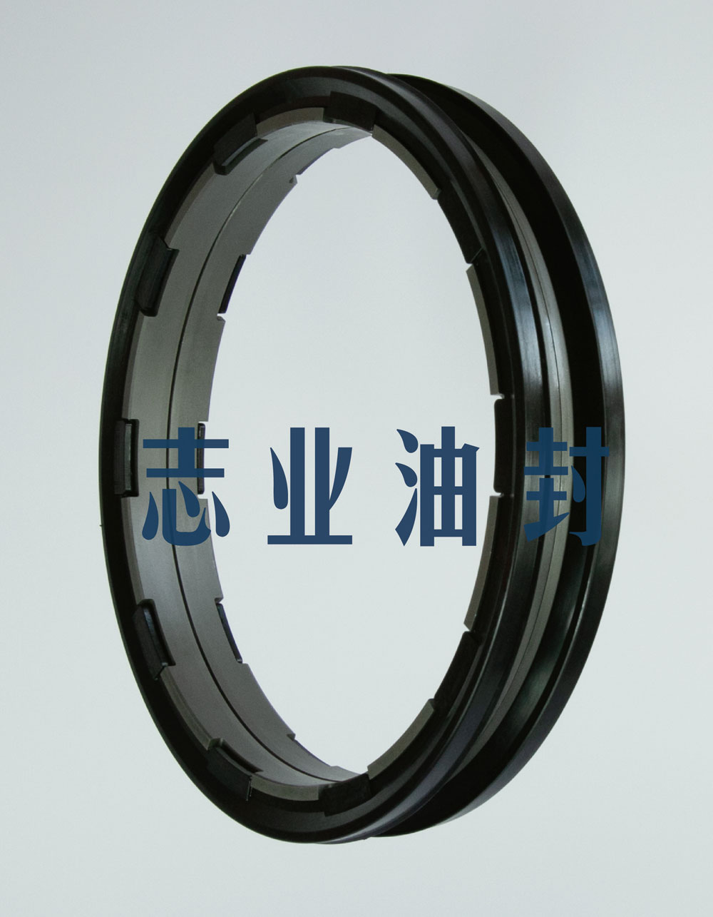 DF型浮動(dòng)油封